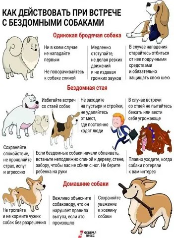 Напоминаем, что за последствия агрессивного поведения собак штраф налагается на владельцев!. Напоминаем, что за последствия агрессивного поведения собак штраф налагается на владельцев!.