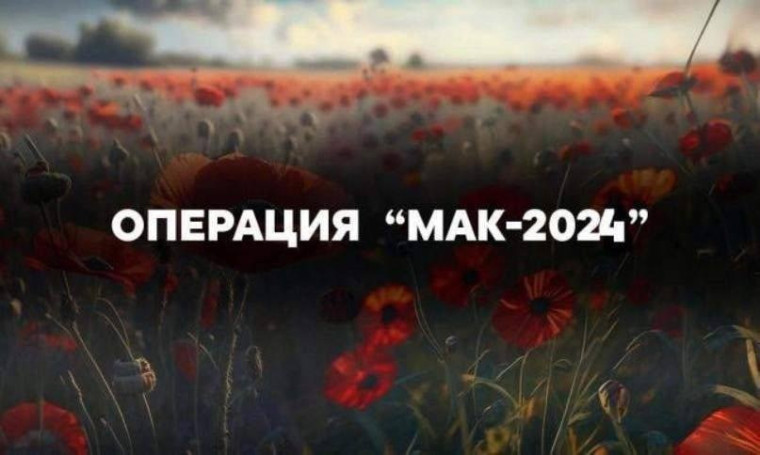 Оперативно-профилактическое мероприятие «МАК-2024». Оперативно-профилактическое мероприятие «МАК-2024».