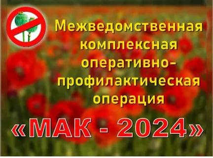 III этап межведомственной комплексной оперативно-профилактической операции «Мак-2024». III этап межведомственной комплексной оперативно-профилактической операции «Мак-2024».