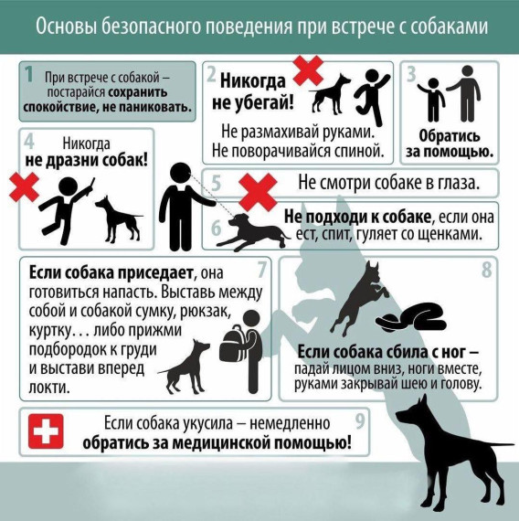 Администрация Приволжского муниципального образования информирует Вас о недопущение нарушений правил содержания домашних животных.. Администрация Приволжского муниципального образования информирует Вас о недопущение нарушений правил содержания домашних животных..